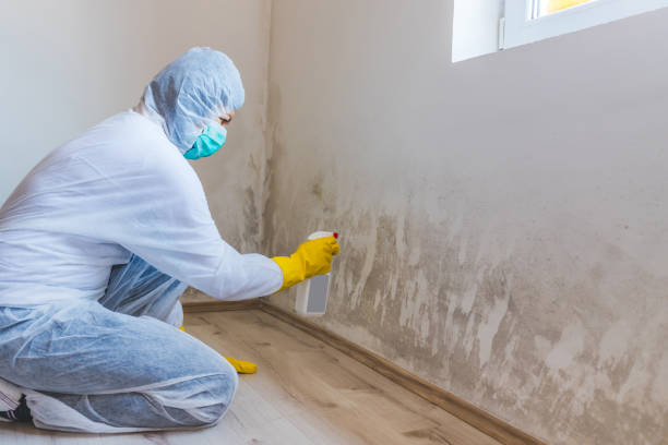 Mold Remediation specialist working in York Haven